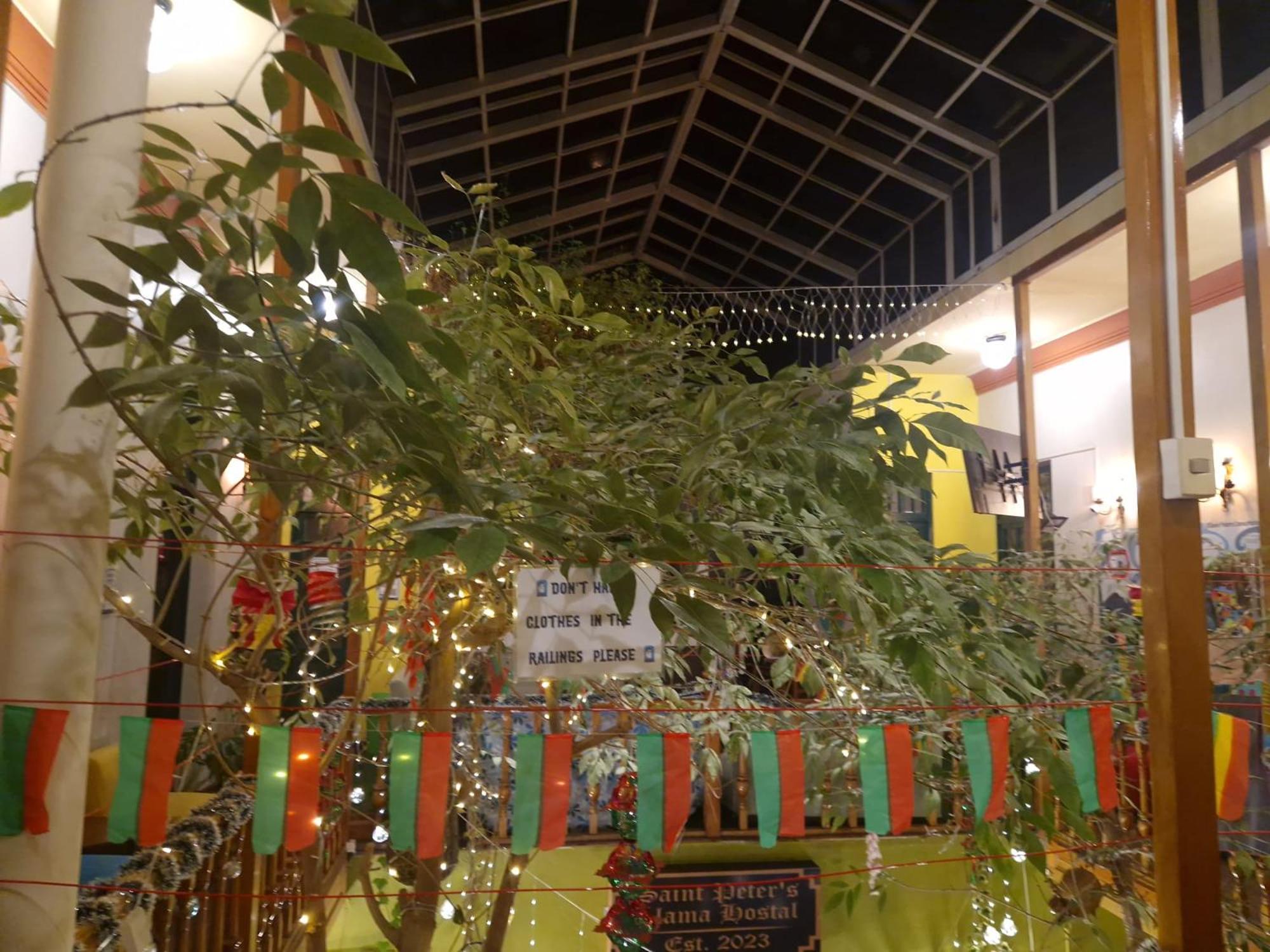 לה פאז Saint Peter'S Llama Hostal מראה חיצוני תמונה